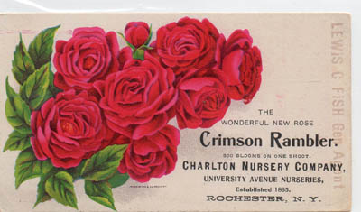 This trade card appeared in 1898.