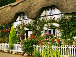 Writing About The Cottage Garden Appeared Only In More Recent