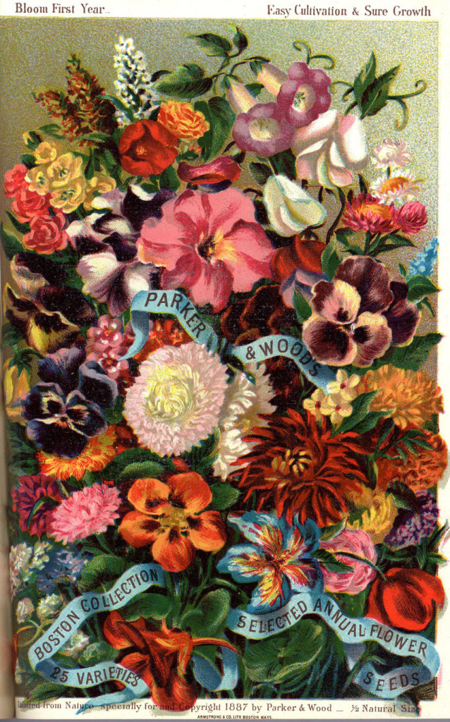 Flowers - Companions on Life’s Journey - American Gardening